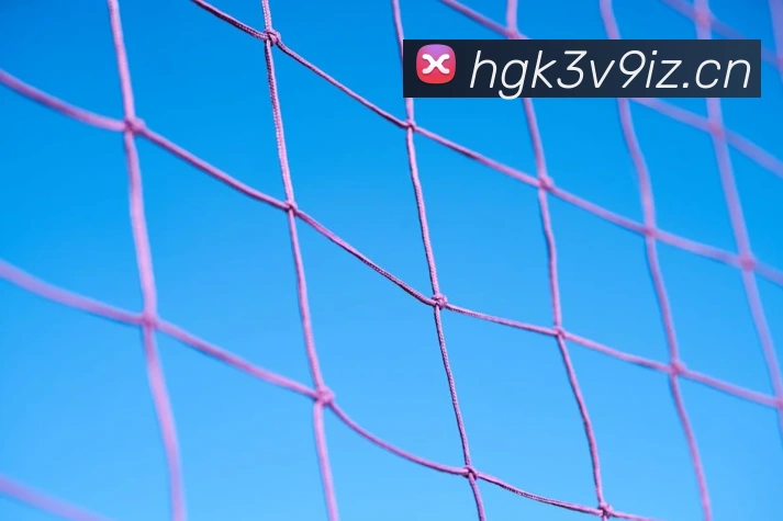 星空体育官方登录入口全站App